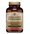 FITOGINKGO 60 CAPSULE VEGETALI