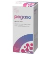 PEGASO MODULAX 150 ML