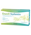 ENAVIT SUDAMIN 10 BUSTINE POLVERE DA 5 G + 10 BUSTINE GEL DA 3 ML