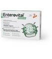 ENTEROVITAL RESTORE 10 BUSTINE