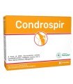 CONDROSPIR 14 BUSTINE