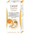 CARICOL GASTRO 20 BUSTINE DA 20 G