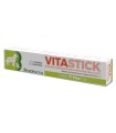 VITASTICK PASTA SIRINGA 15 G