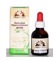 FITOBLASTO AESCULUS H 50 ML