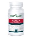 BOSWELLIA SERRATA 60 CAPSULE 400 MG