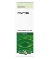 ZENZERO OLIO ESSENZIALE 10 ML