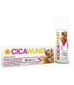 CICAWUND SPRAY 125 ML