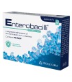 ENTEROBACILLI 10 BUSTINE X 2G