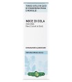 NOCE COLA SEMI TINTURA IDROALCOLICA 50 ML EBV