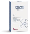 PINEANS 20 COMPRESSE