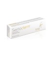 SERTADERM 2 G/100 G CREMA 2 G/100 G CREMA TUBO 30 G