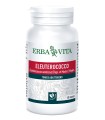 ELEUTEROCOCCO 60 CAPSULE 400 MG