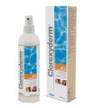 CLOREXYDERM SOLUZIONE 4% 250 ML