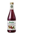 BIOTTA SUCCO DI MIRTILLO ROSSO 500 ML