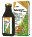 SALUFRANGOL 250 ML