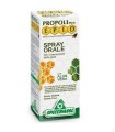 EPID SPRAY OROSOLUBILE ALOE 15 ML