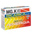 MGK VIS RICARICA PLUS 14 BUSTINE