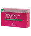 RIBES PET RECOVERY BLISTER 60 PERLE