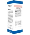 MESTRIL SOLUZIONE IDROALCOLICA 50 ML