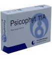 PSICOPHYT REMEDY 11A 4 TUBI 1,2 G