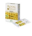 ROYALGELLY 16 BUSTINE OROSOLUBILI