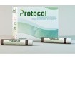 PROTOCOL 10 G 30 FLACONCINI X 25 ML