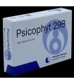 PSICOPHYT REMEDY 29B 4 TUBI 1,2 G