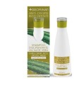 PLANTER'S ALOE VERA SHAMPO DISCIPLINANTE PER CAPELLI 200 ML