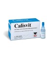 CALISVIT 500 MG/200 UI POLVERE E SOLVENTE PER SOSPENSIONE ORALE 200 UI POLVERE E SOLVENTE PER SOSPENSIONE ORALE 10 FLACONCINI