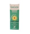 GUAIACALCIUM COMPLEX 0,144 G/100 ML + 2 G/100 ML SCIROPPO 0,144 G/100 ML + 2 G/100 ML SCIROPPO FLACONE 200 ML