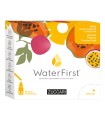 WATER FIRST ANANAS-PAPAYA-PASSION FRUIT 12 STICK PACK