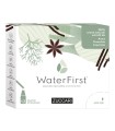 WATER FIRST ANICE-FINOCCHIA-LIQUIRIZIA 12 STICK PACK