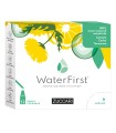 WATER FIRST CETRIOLO-CEDRO-TARASSACO 12 STICK PACK