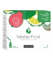 WATER FIRST KIWI-BERGAMOTTO-GUAVA 12 STICK PACK