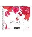 WATER FIRST MELOGRANO-LITCHI-GOJI 12 STICK PACK