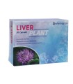 LIVER PLANT 30 CAPSULE