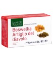 BOSWELLIA ARTIGLIO DIAVOLO VITAMINE B2 B6 B9 60 CAPSULE