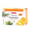 NATURPLUS TISANA DOPOPASTO 20 FILTRI