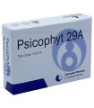 PSICOPHYT REMEDY 29A 4 TUBI 1,2 G