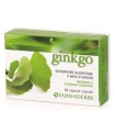 GINKGO BILOBA 60 CAPSULE