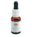 BUSH FUCHSIA GOCCE 15 ML