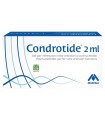 SIRINGA INTRA-ARTICOLARE CONDROTIDE GEL POLINUCLEOTIDI 2% 2 ML