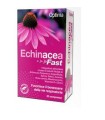 ECHINACEA FAST 20 COMPRESSE 800 MG