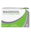 MAGNOSOL 20 BUSTINE EFFERVESCENTI