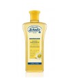 SCHULTZ SHAMPOO RAVVIVANTE CAMOMILLA 250 ML