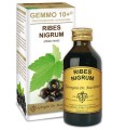 GEMMO 10+ RIBES NERO 100 ML LIQUIDO ANALCOLICO