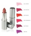 DEFENCE COLOR BIONIKE ROSSETTO SEMITRASPARENTE LIPSHINE 206 CASSIS